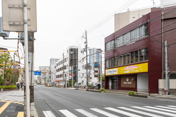 pawpark20240423115943