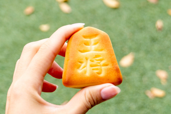 将棋まつり20241116105743