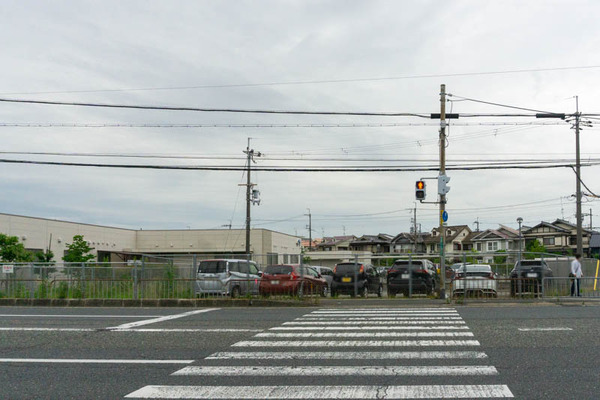 ほたる20210618174426