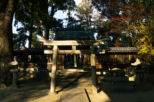 春日神社-20122210