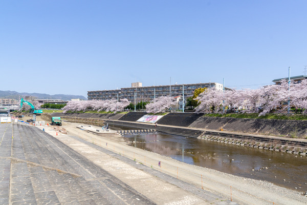 桜-2103318