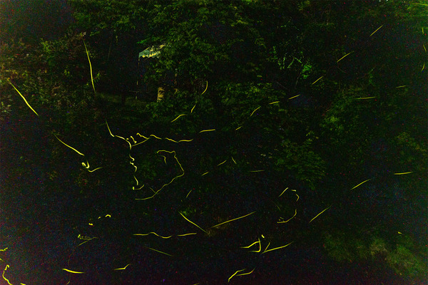 DSC06605