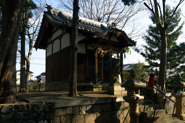 神社2-2012224