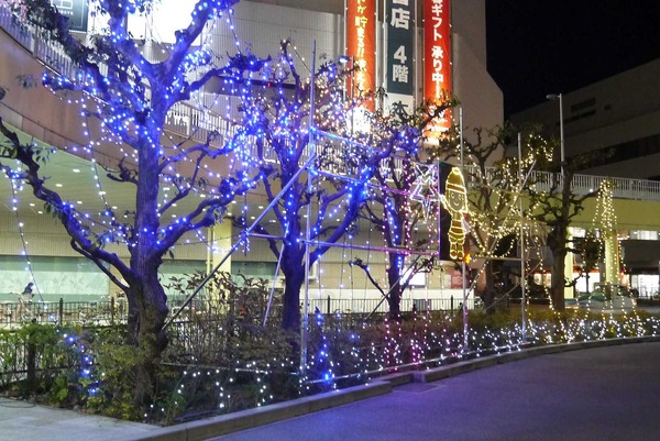 20201215irumi2