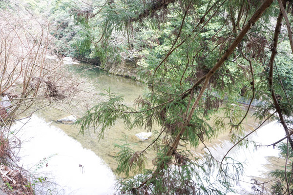 摂津峡公園-2023032198