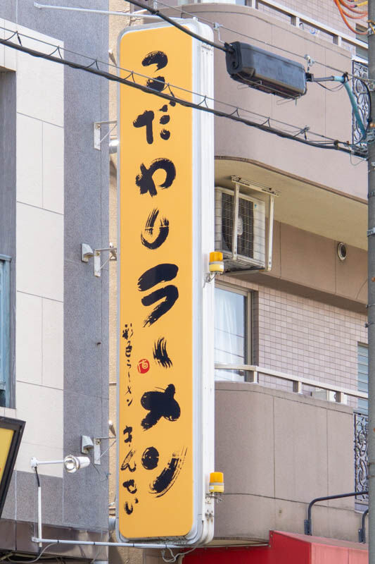 きんせい20230403233446