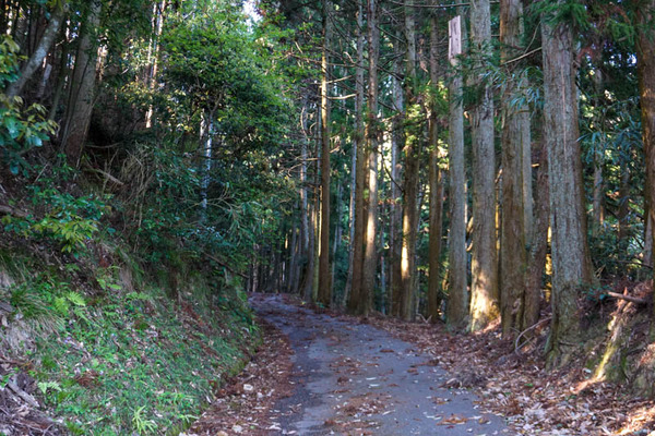 地獄谷峠-2022041618