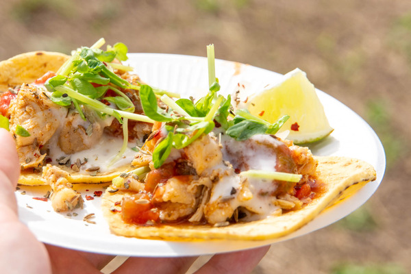 高槻開場20240915133558