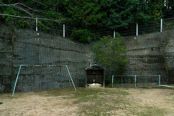 諏訪神社-2012113
