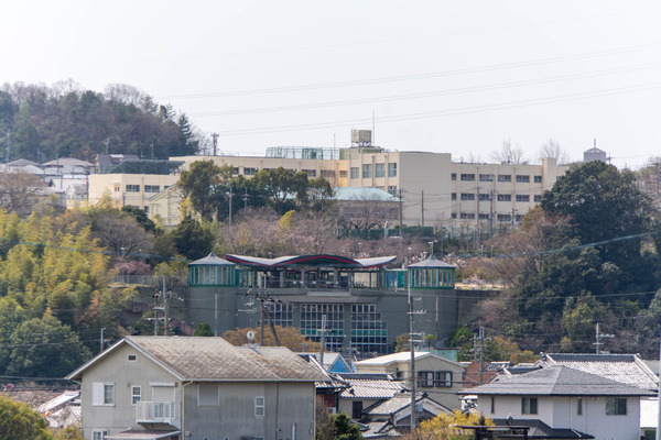 クイズ20250331113417