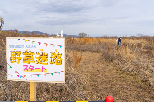 野草迷路2-2101261
