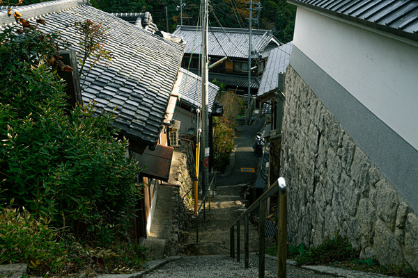 諏訪神社-20121118