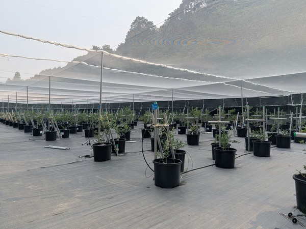 PXL_20250705_072903152