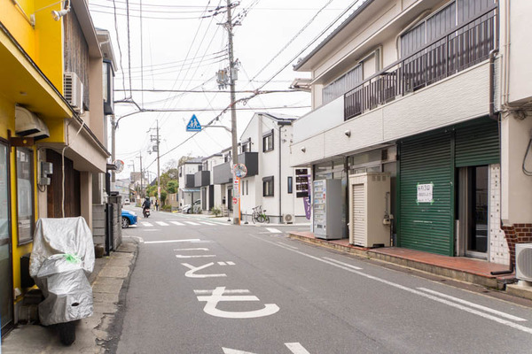 山茶花20250328105731