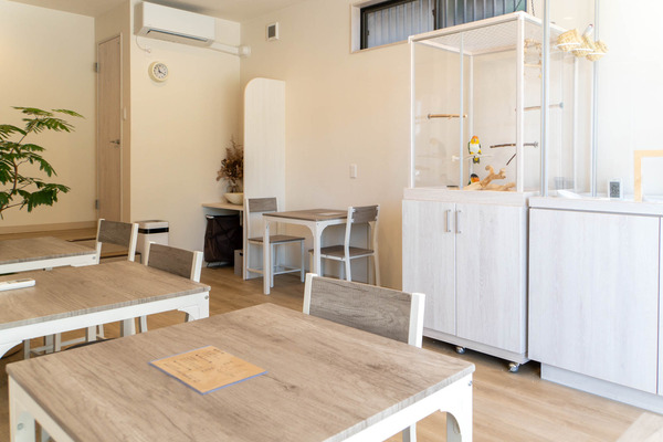 小鳥遊カフェ20241010105631