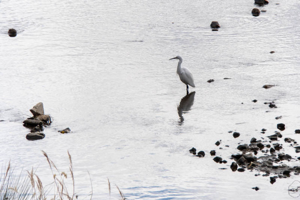 サムネ20240108131850