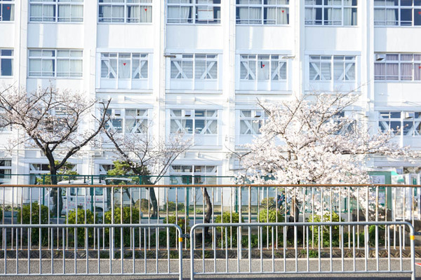 さくら-2023032826