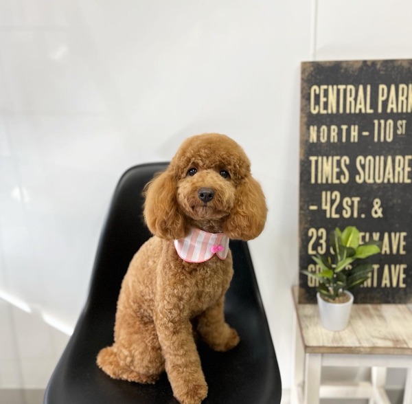 95C88915-6444-461C-8011-9F1D9621CF80