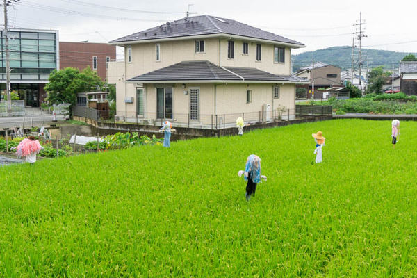 かかし20210915090229