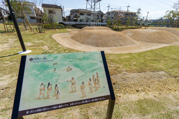 安満遺跡公園-21032459