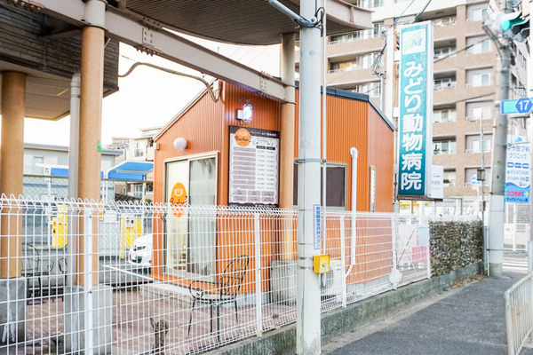 バーバーみどり動物病院-202201298