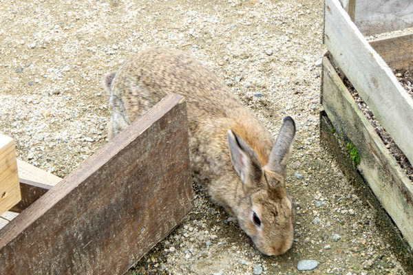 THEFARM20230822104149