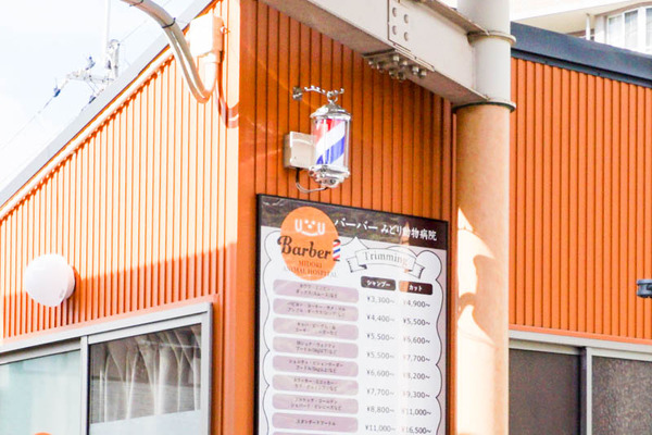 バーバーみどり動物病院-202201241