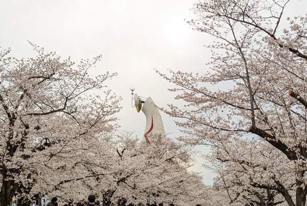 PXL_20250405_073524530