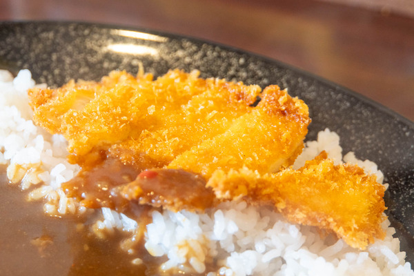 カレー20250331104632