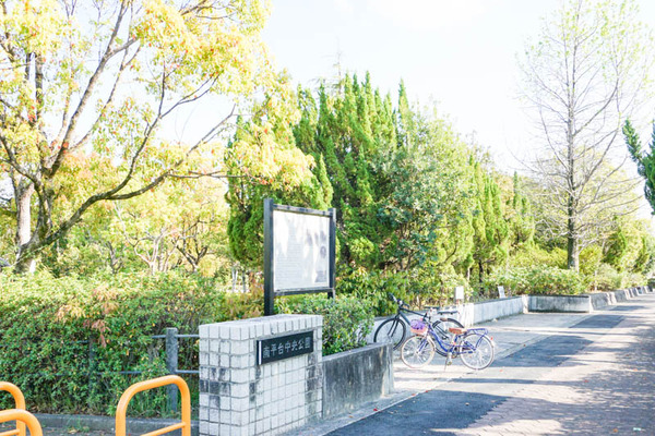 南平台中央公園-202204179
