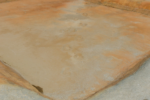 安満遺跡公園-21032414