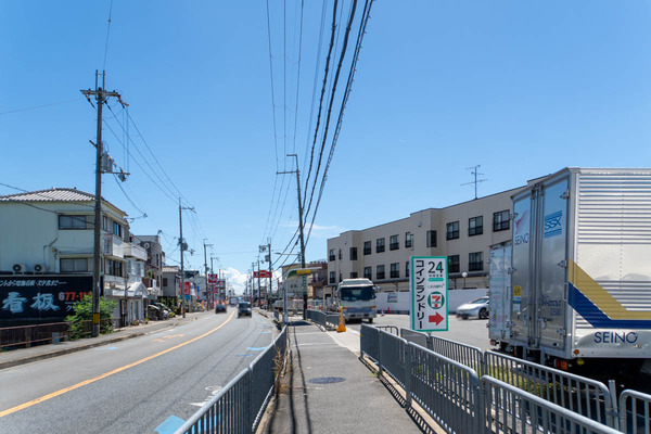 芝生20250902123052