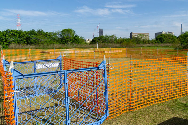 ドッグラン20230428033618