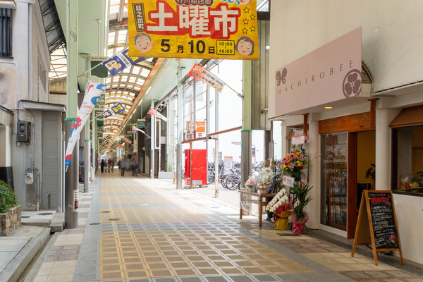 olioli20250425112903