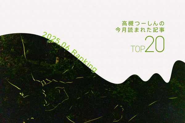 アクセス解析2025