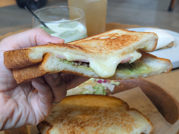 PXL_20250417_042614642-2