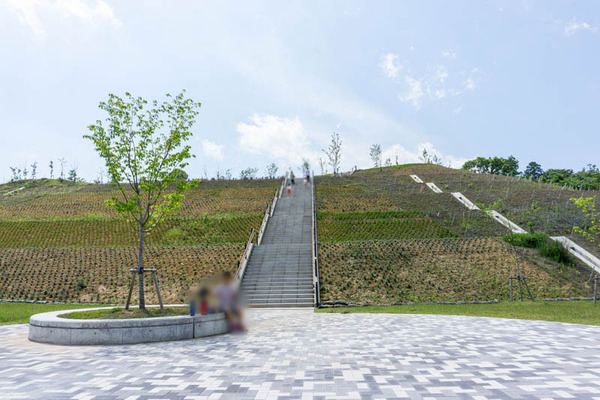 はなだ公園-2021052337