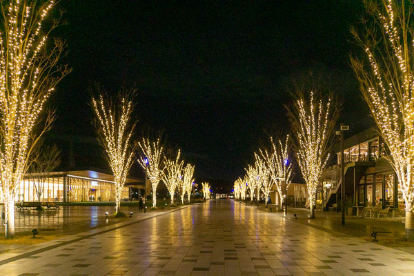 安満遺跡公園イルミ20221227183042