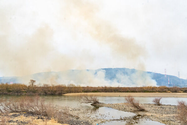 鵜殿〜上牧の淀川河川敷で「ヨシ原焼き」が行われるみたい。降灰と交通規制に注意。2月15日