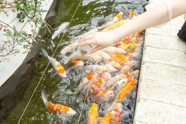 THEFARM20230822105922