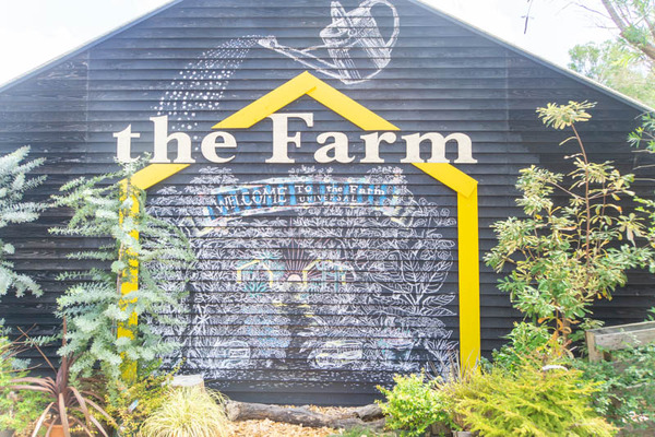 THEFARM20230822111327