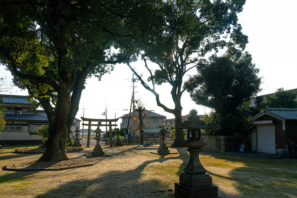 春日神社-20122214
