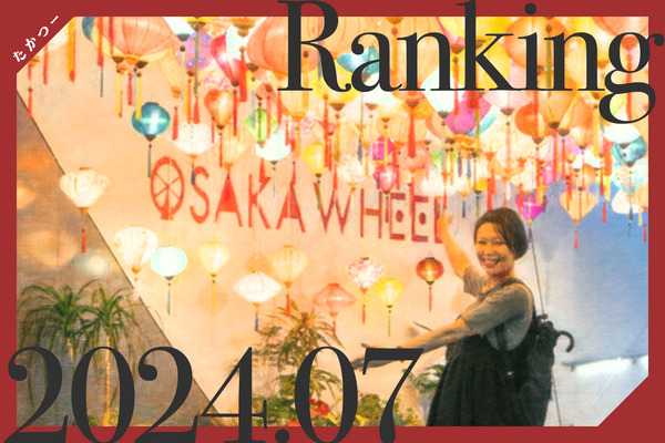 アクセス解析2024