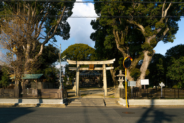 春日神社-2012221
