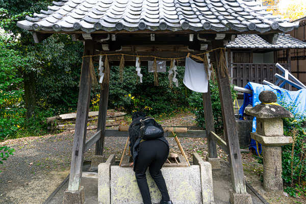日吉神社-20121110