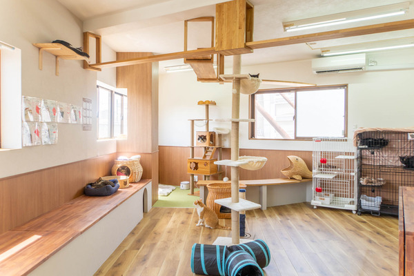 cherish20240417112812