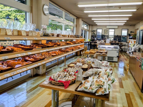 PXL_20251210_003210482~2