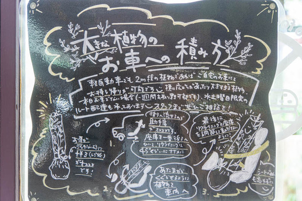 THEFARM20230822112146