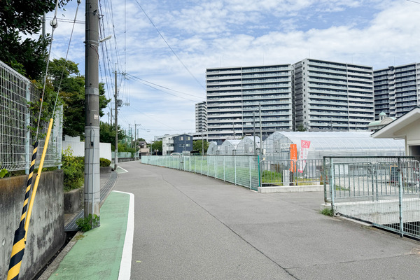 三島郡島本町 いちごdeいちえ 道順