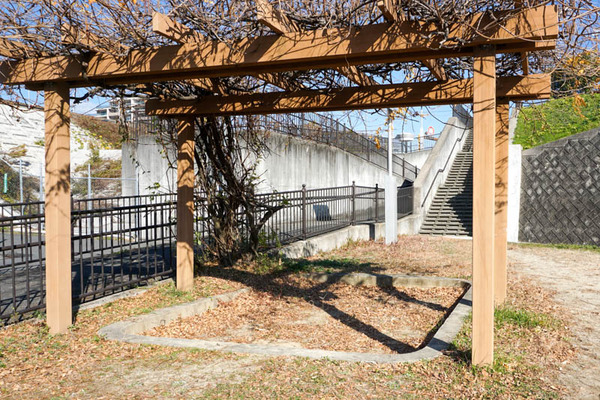 清水池公園-2021121434